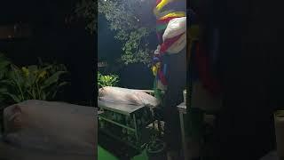 남양주  천궁사약왕보살 도당맞이 정성올립니다