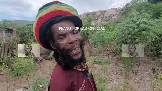 PEANUT DREAD... THE OWNER FI THE GOAT  HELP MI FIX UP THE FENCE, PLUS MORE! 