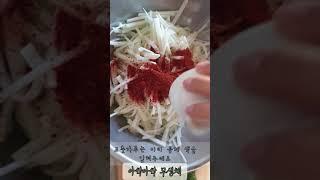 무가 맛있을땐! 무생채