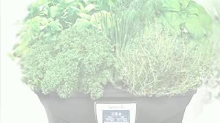AeroGarden Ultra (LED) with Gourmet Herb Seed Pod Kit