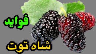 فواید خوردن شاه توت برای کم خونی