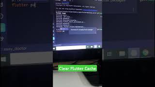 How to Clear Flutter Plugin Cache (and WHY you should)