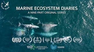 Marine Ecosystem Diaries - Trailer