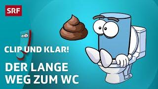 WC: Woher kommt die moderne Toilette? | SRF Kids – Clip und klar! | Für Kinder erklärt