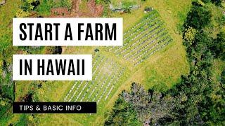 START A FARM IN HAWAII | Tips & Basic Information