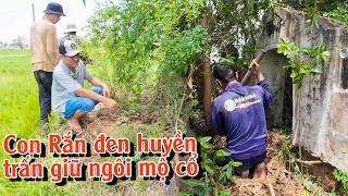 Ngôi mộ cổ linh thiêng có con Rắn đen huyền trấn giữ | TGSB #922