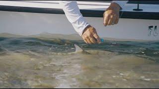 Bonefish Best Handling Practices