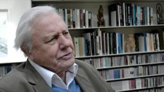 Sir David Attenborough | Biology: Changing the World Interview | Royal Society of Biology