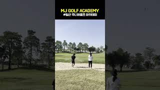 일산 골프아카데미 - 벙커샷