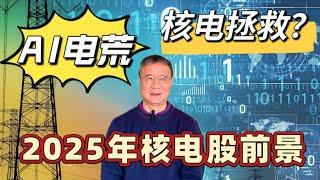 2025年核电股投资前景如何？何博士科普核电知识，核电是否可以拯救AI￼用电荒？CEG