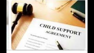 CHILD SUPPORT STORIES “What Dads don’t know about judgments!”