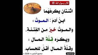 ٢٠ يونيو ٢٠٢٥