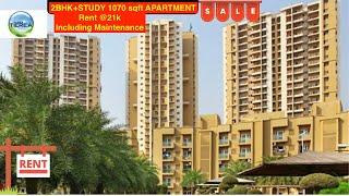 2.5BHK FLAT FOR RENT Rs21K IN SECTOR 137 | 2BHK RENTAL APARTMENT On NOIDA EXPRESSWAY || 7291929595