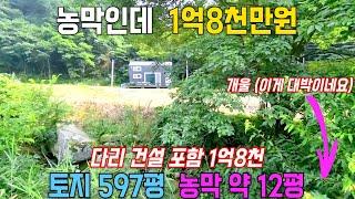 (1억8천 짜리 농막) 계곡 접한 전원주택지 찾으시는분 이거 꼭 확인하세요 / 토지 597평 12평 농막