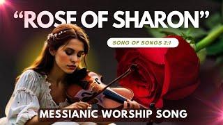 Rose Of Sharon (Song of Songs 2:1)/ English-Hebrew Messianic Worship Song