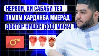 Тез тамом кардан хангоми алокаи чинси