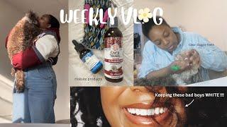 My Holistic (15 min) Oral Hygiene Routine  + Doggie Dental Products 🪥