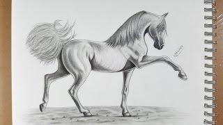 كيفية رسم حصان بالقلم الرصاص - How to draw horse in pencil