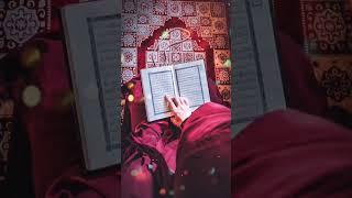 shahzeb khan vloge video viral shahzeb khan vloge video viral #shahzebkhan #video #viral