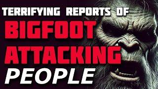 TERRIFYING REPORTS OF BIGFOOT ATTACKING PEOPLE!