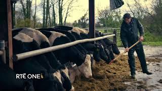 Brexit: Farming On The Edge | RTÉ One | Monday 15th January 9.35pm