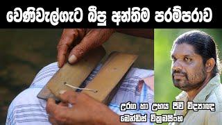 කොත්තමල්ලි, වෙණිවැල්ගැට බීපු අන්තිම පරපුරේ පාරම්පරික දැනුම Mendis wickramasinghe