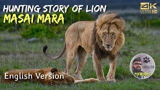 The Story of Lion in Masai Mara | Wildlife in Kenya, Africa