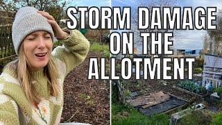 STORM BERT DAMAGE AT THE ALLOTMENT / ALLOTMENT GARDENING UK