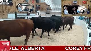 2024 Calgary Stampede International Livestock Auctioneer Championship