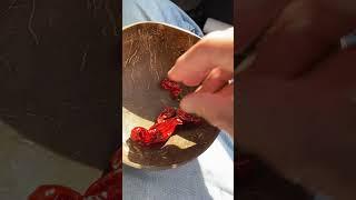 Drying Peppers on the Dashboard