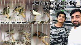 Target No 1 || Collecting 50 Pairs Finches For My Subscriber || VLOG 1 || Setup No 1