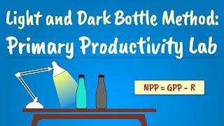 The Light and Dark Bottle Method | Primary Productivity