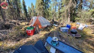 My first night on the land  #Alaska #Tentcamping