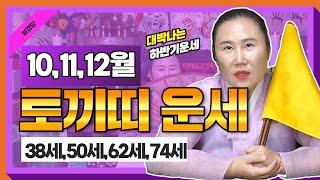 2024년 양력10,11,12월달 4분기 토끼띠운세지금 일어나는 징조들은 대박날 현상?38세,50세,62세,74세