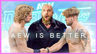 AEW Double or Nothing Changed EVERYTHING!!