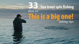 How to • Sea trout - Spin fishing • Morning - and nice sea trout • fishing tips