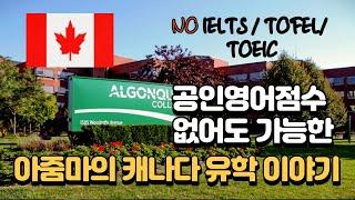 어학연수부터 캐나다 대학 졸업까지~ 캐나다 유학을 고려하시는분들 꼬옥 보세요 | NO IELTS, TOFEL, TOEIC | Pathway 프로그램 | 캐나다 이민, 유학, 취업