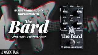 Electronic Audio Experiments - The Bard // Full Demo