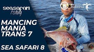 Mancing Mania Trans 7 with Sea Safari Fishing at Mapia Atoll