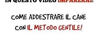 COME ADDESTRARE IL CANE CON IL METODO GENTILE (4°video)