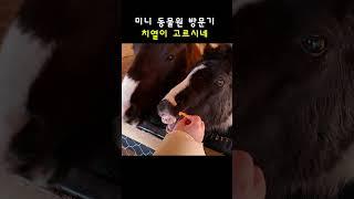 치열이 고르시다~(미니 동물원)