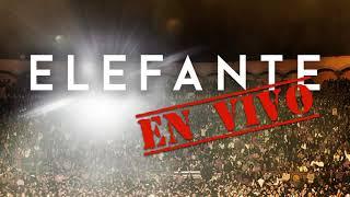 Elefante - El Abandonao [En Vivo] (Audio Oficial)