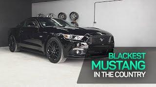 The Blackest Mustang GT in the country