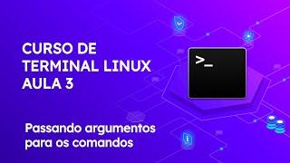 Curso de terminal linux - Aula 3: Aprendendo a ler o manual e passando argumentos para os comandos