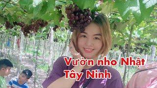 Vườn Nho Nhật tại Tây Ninh - Duy Nguyễn Vlog