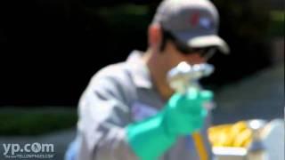 Res Com Pest Control | Tulare California