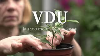 VDU 100s