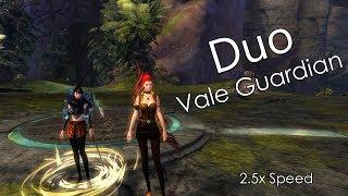 [qT] Duo VG | 2.5x speed