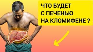 Как кломифен влияет на печень: анализ случая