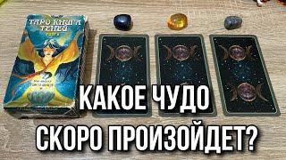 КАКОЕ ЧУДО СКОРО ПРОИЗОЙДЕТ? ⭐️ гадание на таро Karina Tarot Reading